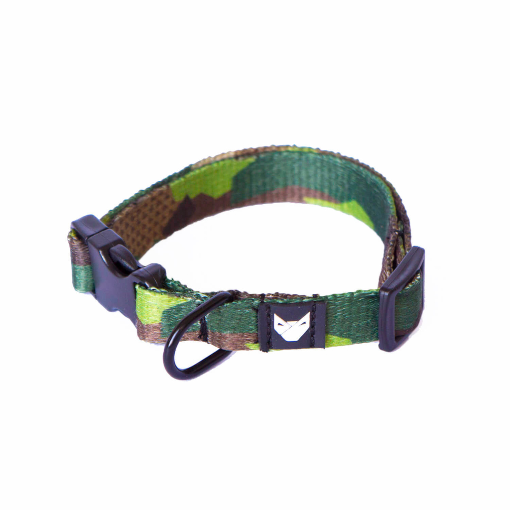 roots dog collar