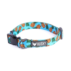 Collar para perros