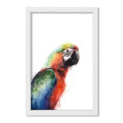 Cuadro Parrot - comprar online