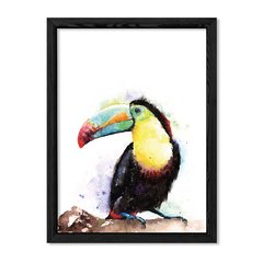 Cuadro Tucan en internet