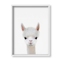 Cuadro Baby Llama - tienda online