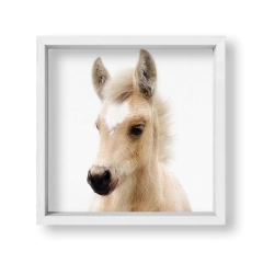 Cuadro Baby Caballo - tienda online