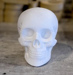 Calavera de Yeso 10 CM - Comprar en Artística Aguilar