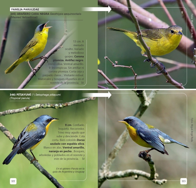 Aves Provincia de Buenos Aires - Ecoval Ediciones