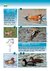 Aves de Berisso en internet