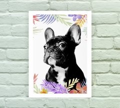 Quadro Decorativo Bulldog Francês - comprar online