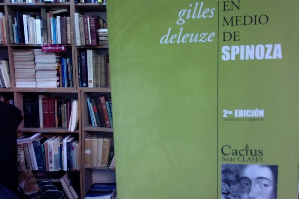 En medio de Spinoza - Gilles Deleuze - Precio libro - Editorial Cactus -  ISBN 9789872100001