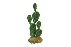 Enfeite de Resina Cactus 102