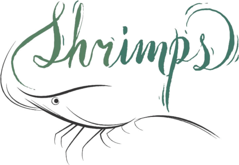 Shrimps Aquarismo