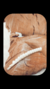 hebilla freek dorada