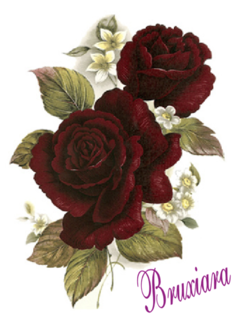 55455 Rosas Púrpura