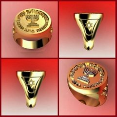 Mossad ring in 18k gold