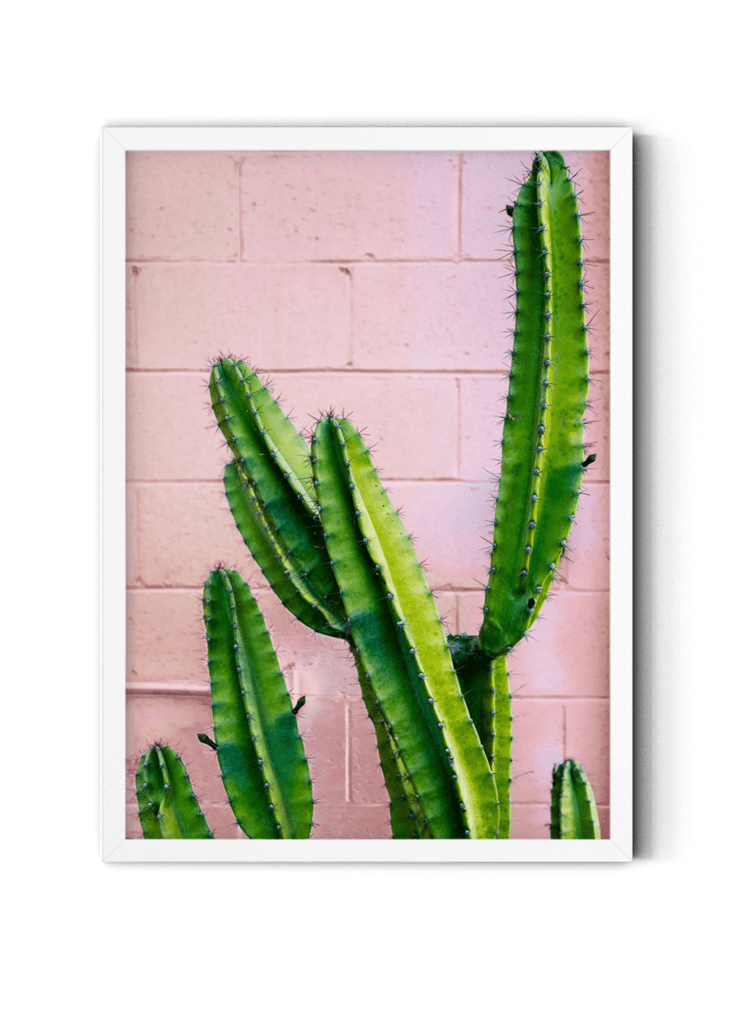 Cactus en pared rosa - Taller de marcos- La Gubia