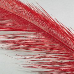 Spey Feather