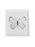 Cuadros Mariposas Girl Marco Labrado Blanco - comprar online