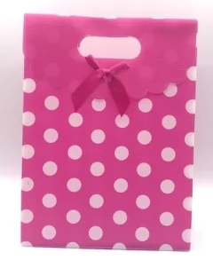 Bolsa lunares Con Abrojo 21x15.5x7 cm en internet