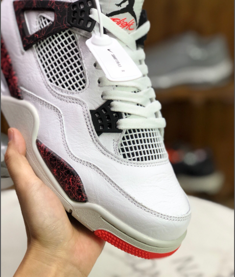 aj4 raptors