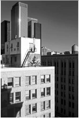 Daniel Karp. Metropolis, 110 x 80 cm.