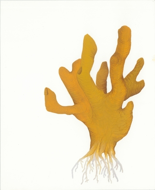 Cintia Fernandez Padin. Otras naturalezas, 23 x 19 cm