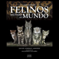 Libro: Felinos del Mundo