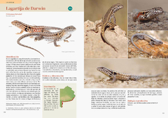 Combo REPTILES DE BUENOS AIRES con ENVIO GRATIS - La Biblioteca del Naturalista