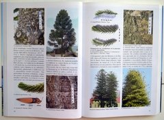 Árboles en la Patagonia / Trees in Patagonia - La Biblioteca del Naturalista