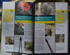 Cactus del Oeste. Edición 2016 - La Biblioteca del Naturalista