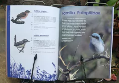 Aves de la Reserva Natural de Vaquerías - La Biblioteca del Naturalista