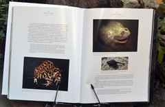 FORMOSA SALVAJE- Edición de Lujo - La Biblioteca del Naturalista
