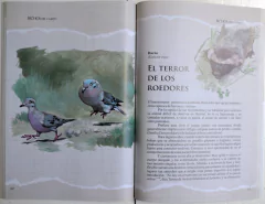 Bichos del Campo - La Biblioteca del Naturalista