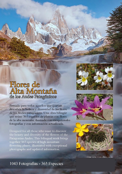 Flores de Alta Montaña de los Andes Patagónicos - comprar online