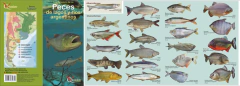 Libro: Peces de lagos y ríos argentinos - Guia de bolsillo - comprar online