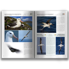 2 libros Aves-Birds Península Valdés