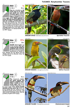 Libro: Guía audiornis de las Aves de Argentina - comprar online