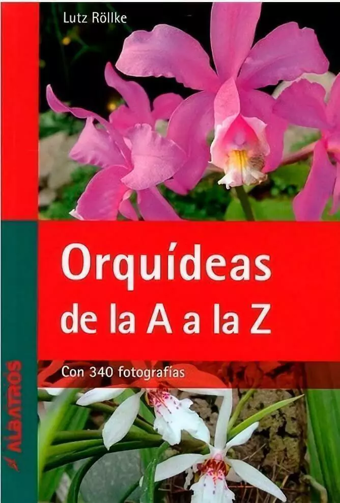 Orquídeas De La A A La Z