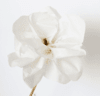Luxury Paper Flower Magnolia