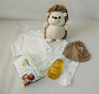 Cesta de Maternidade Paul the Porcupine - comprar online