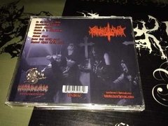 Bastard Christ - Into The Abomination Cd - BLACK HEARTS RECORDS