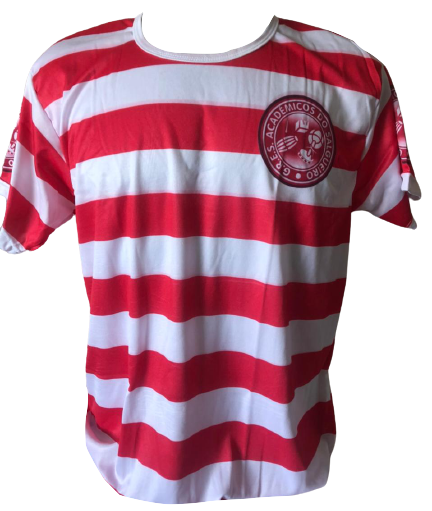 Salgueiro - Camisa de Bamba - O Estilo do Samba | Filtrado por Mais ...