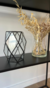 Terrario XL Oval - comprar online