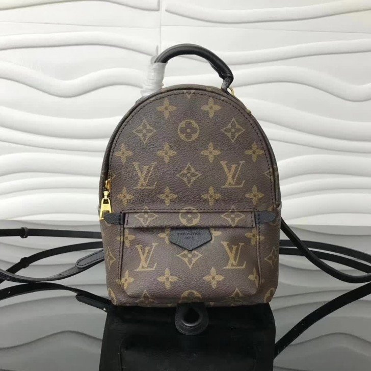 palm spring bolsa lv