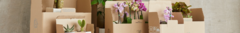 Banner de la categoría Matrimonio y Nuevo Hogar