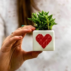 Habibi Mini Heart con Planta - Habibi Plantitas | Tienda Online de Plantas, Regalos y Bienestar
