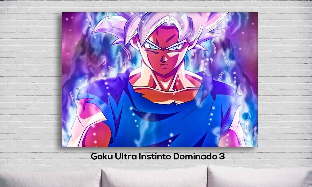 Cuadro Goku Ultra Instinto Dominado 3 Cuadro Goku Ultra Instinto Dominado 3