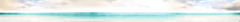 Banner de la categoría INDUMENTARIA
