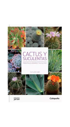 Combo Maceta Mediana + Libro Cactus y Suculentas - comprar online
