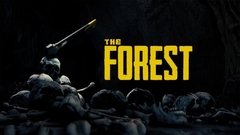 The Forest - PS4 (P) - Buy in Easy Games & Hobbies