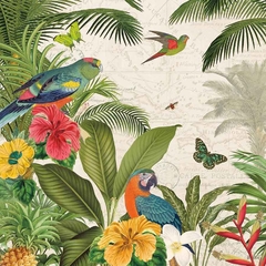poster de aves tropicais