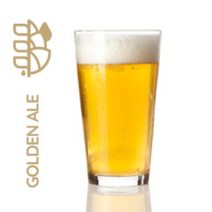Kit Golden Ale 20lt - Malt Insumos