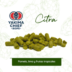 Citra YCH - Malt Insumos